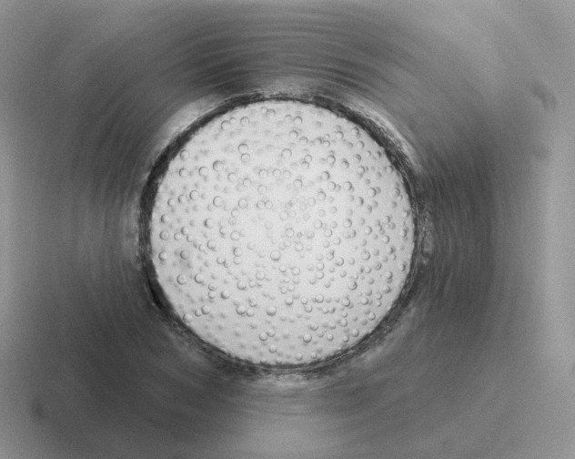 X0000116550978201001071112