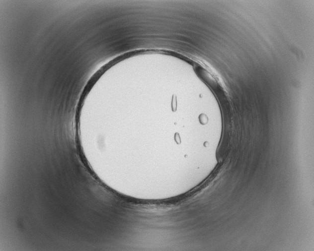 X0000116550980201001071112