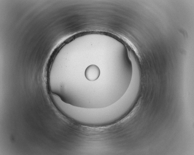 X0000116550981201001071112