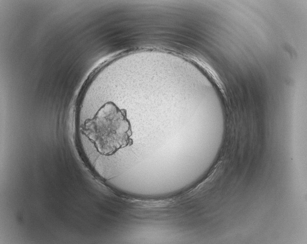 X0000116550984201001071112