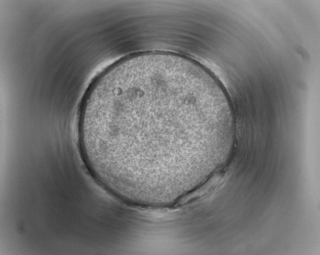 X0000116550987201001071112