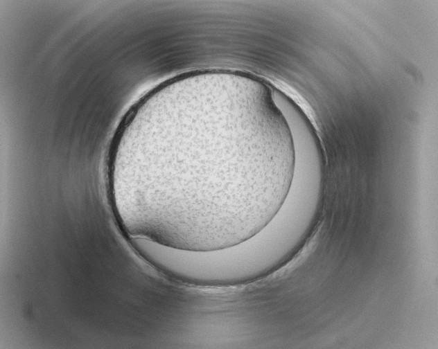 X0000116550989201001071112