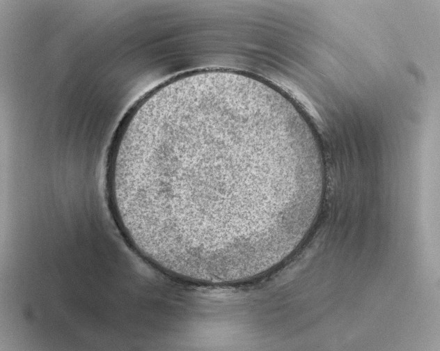 X0000116550991201001071112