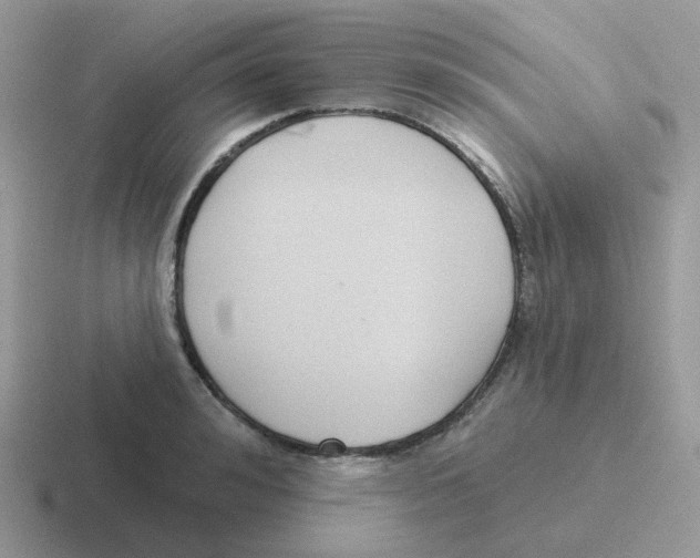 X0000116550992201001071112