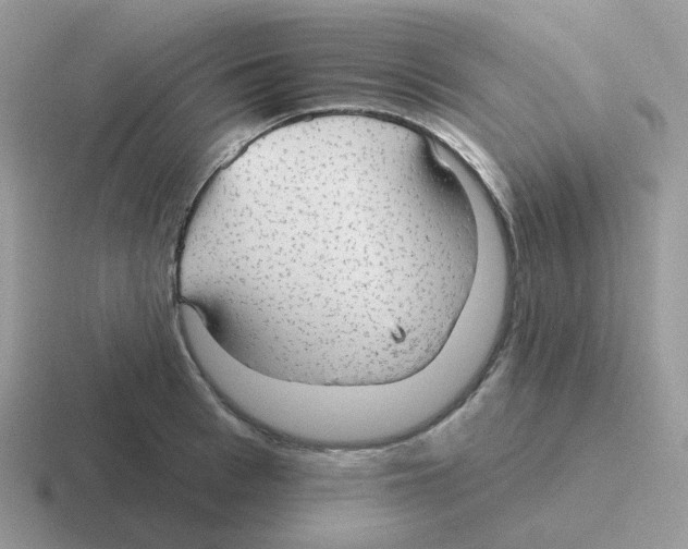 X0000116550993201001071112