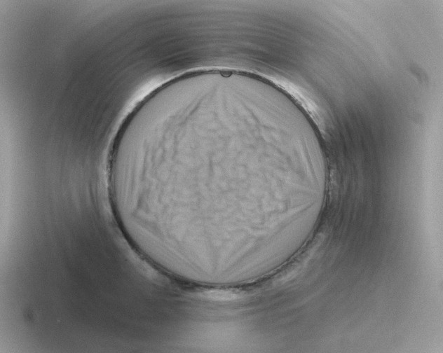 X0000116550998201001071112