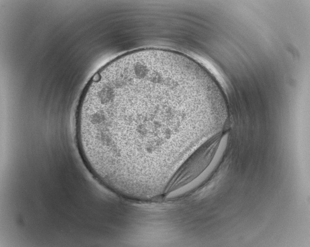 X0000116550999201001071112