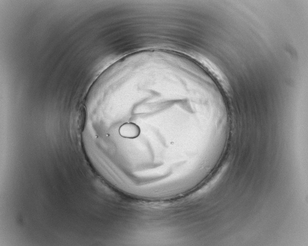 X0000116551001201001071112