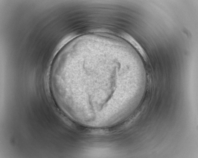 X0000116551002201001071112