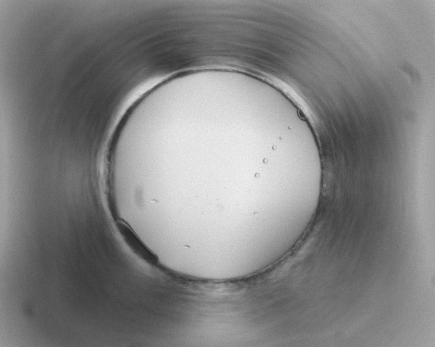 X0000116551003201001071112