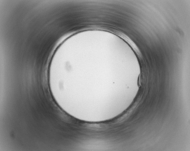 X0000116551004201001071112