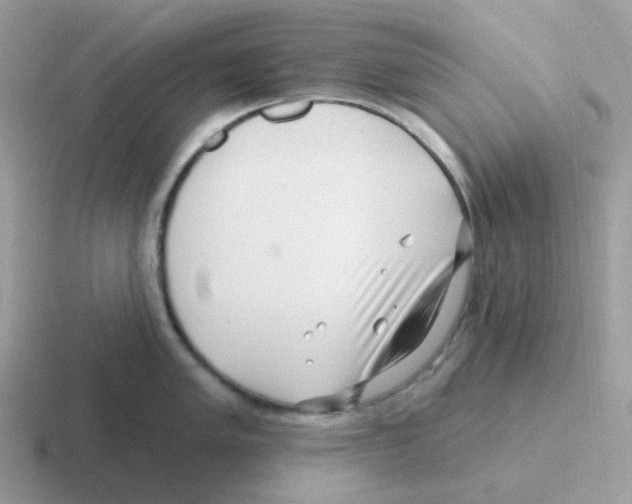 X0000116551005201001071112