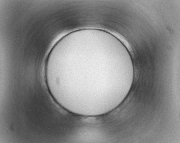 X0000116551006201001071112