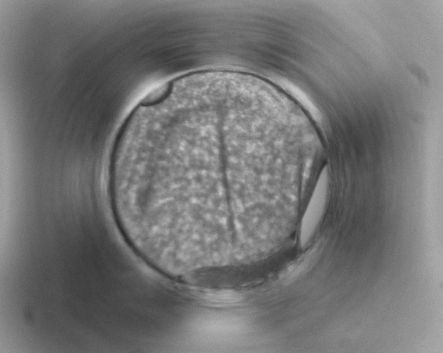 X0000116551007201001071112