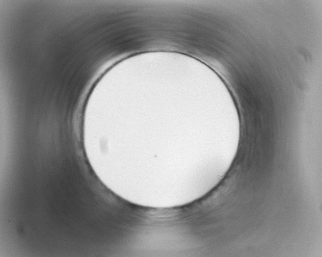 X0000116551008201001071112