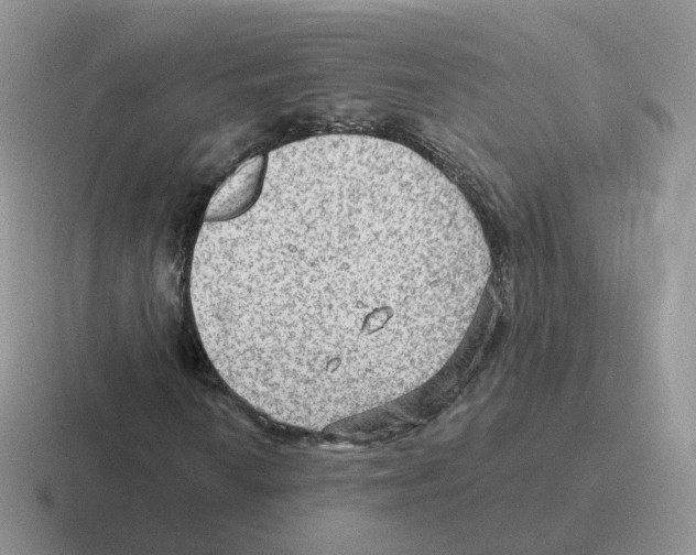 X0000116551010201001071111