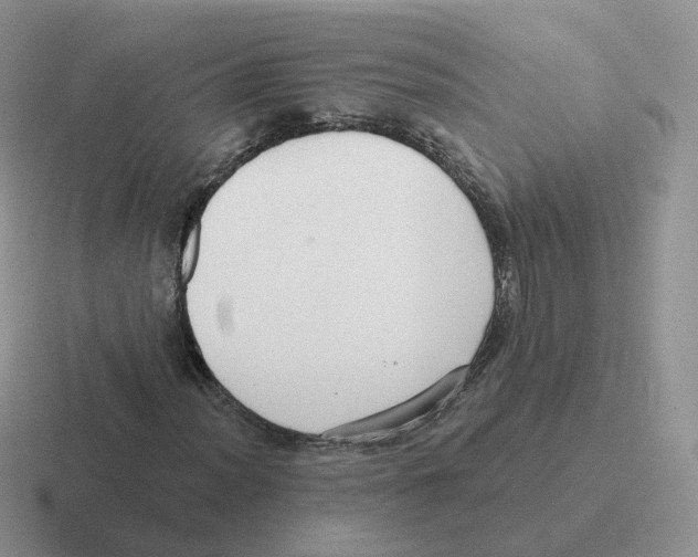 X0000116551012201001071111