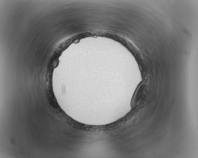 X0000116551016201001071111