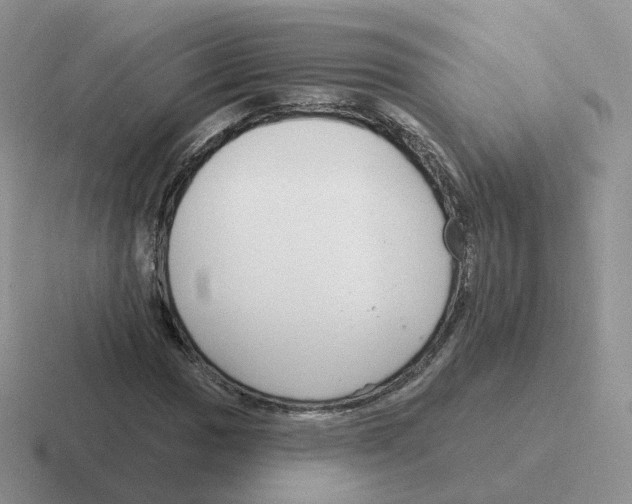 X0000116551017201001071111