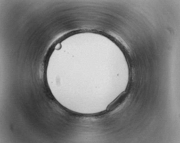 X0000116551021201001071112