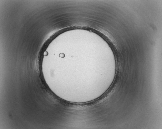 X0000116551022201001071112