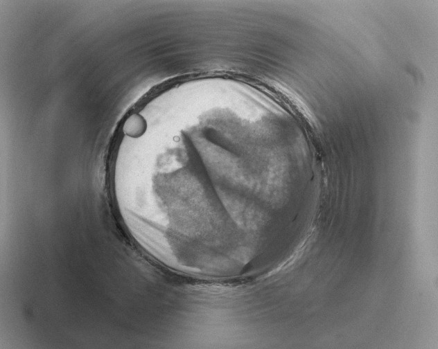 X0000116551023201001071112