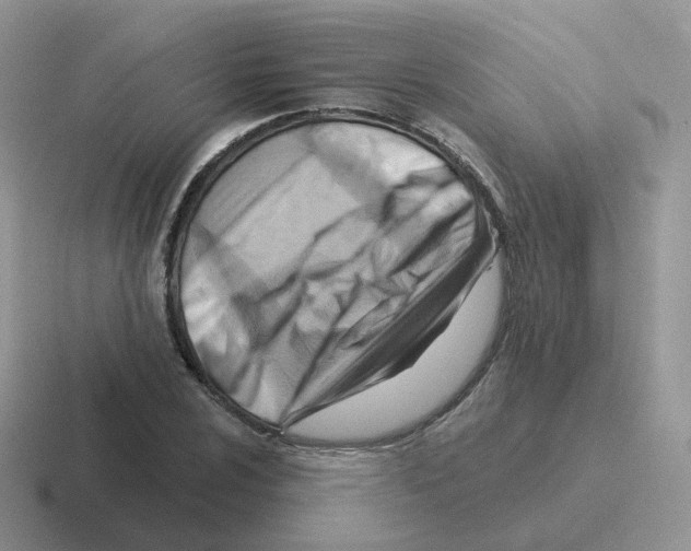 X0000116551024201001071112