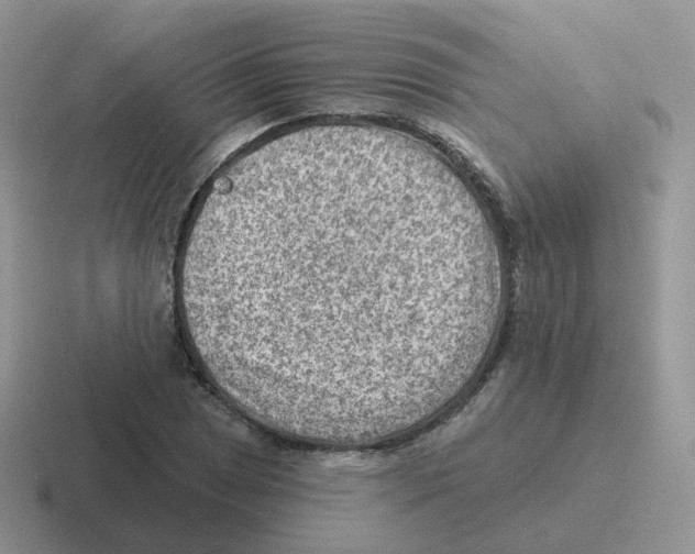 X0000116551025201001071112