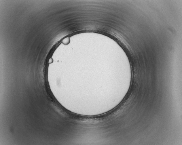 X0000116551026201001071112