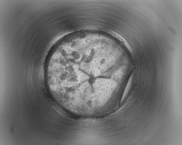 X0000116551027201001071112