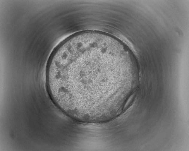 X0000116551028201001071112