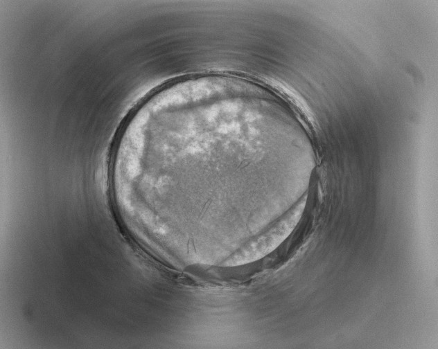 X0000116551031201001071112