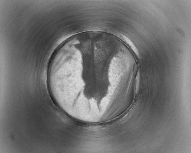 X0000116551035201001071112