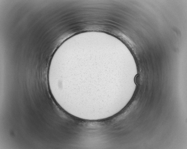 X0000116551041201001071112