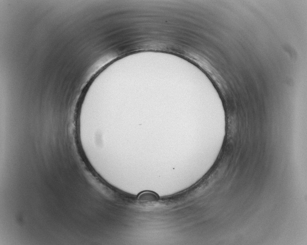 X0000116551042201001071112