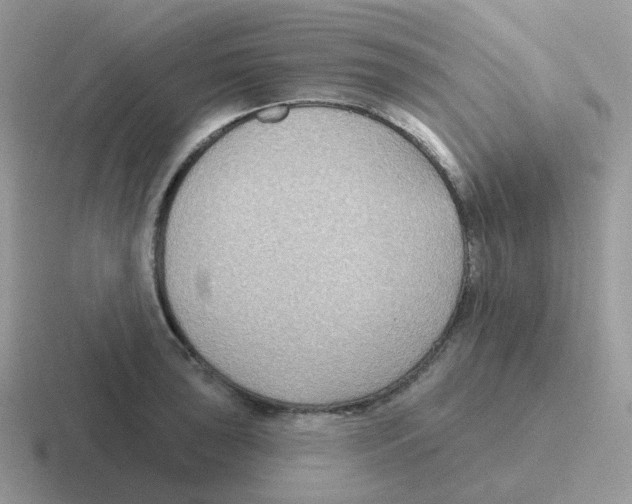 X0000116551043201001071112