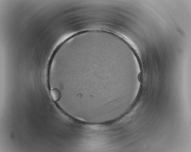 X0000116551045201001071112