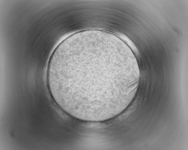 X0000116551052201001071112