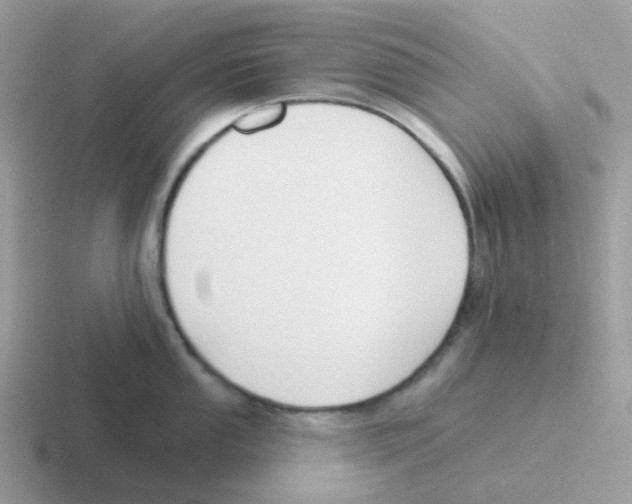 X0000116551053201001071112