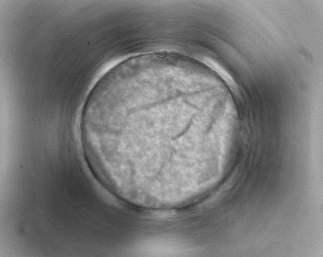 X0000116551055201001071112