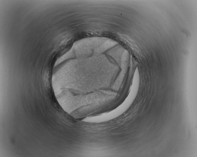 X0000116551060201001071111