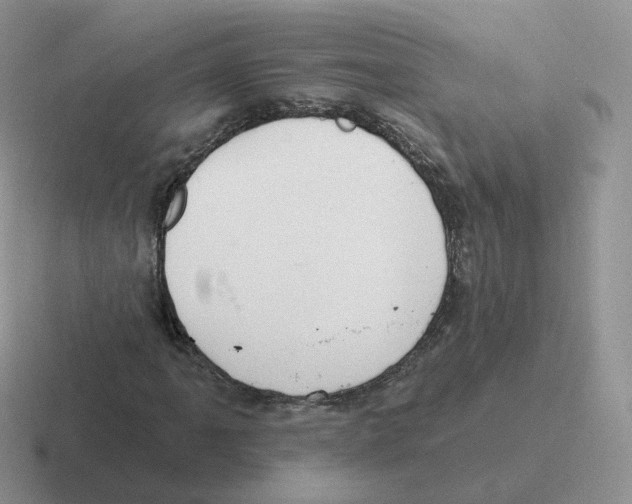 X0000116551061201001071111