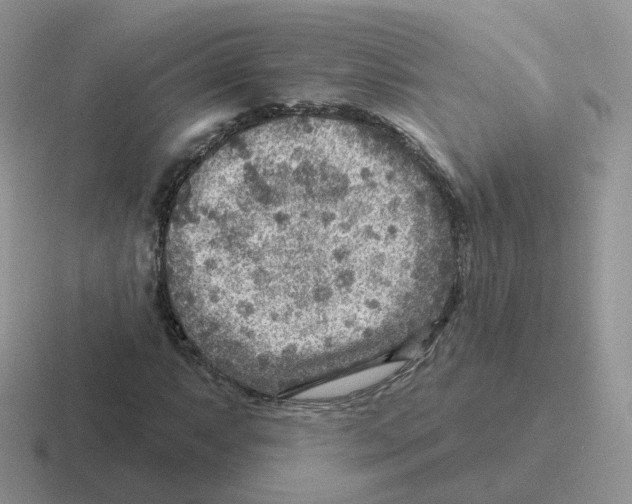 X0000116551063201001071111