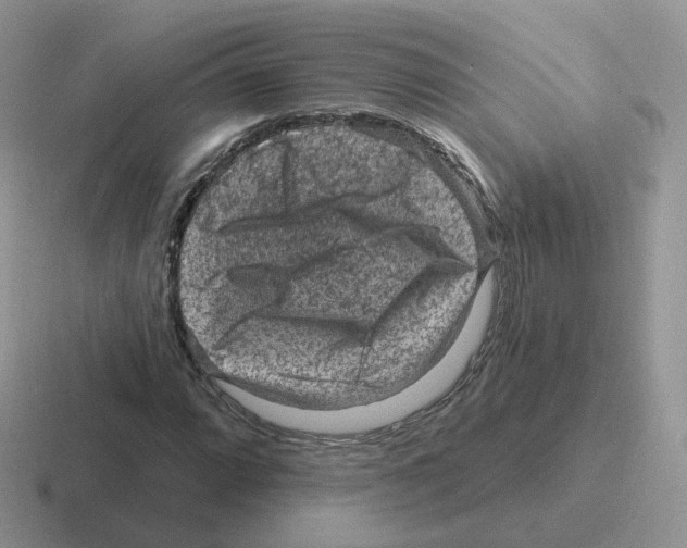 X0000116551064201001071111