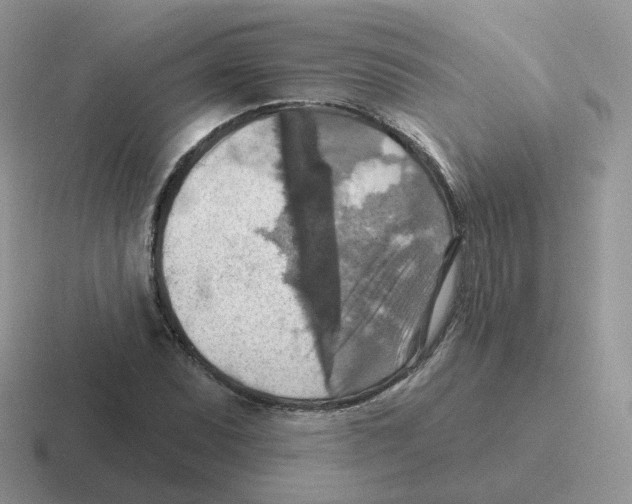 X0000116551071201001071111