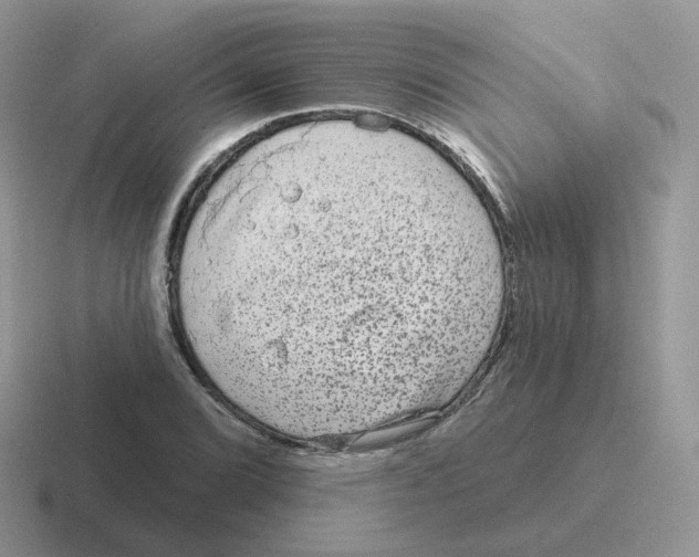 X0000116551072201001071111