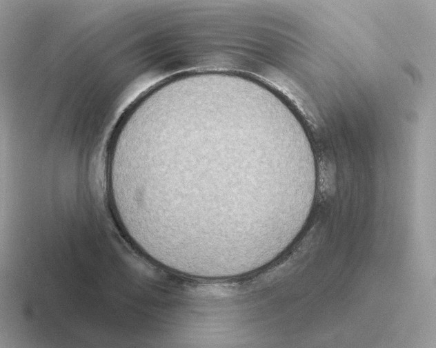 X0000116551078201001071111