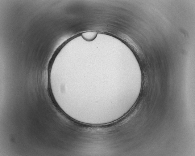 X0000116551079201001071111