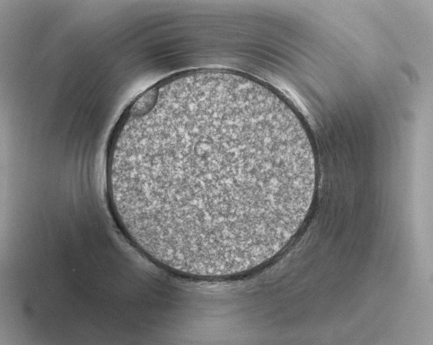 X0000116551080201001071111