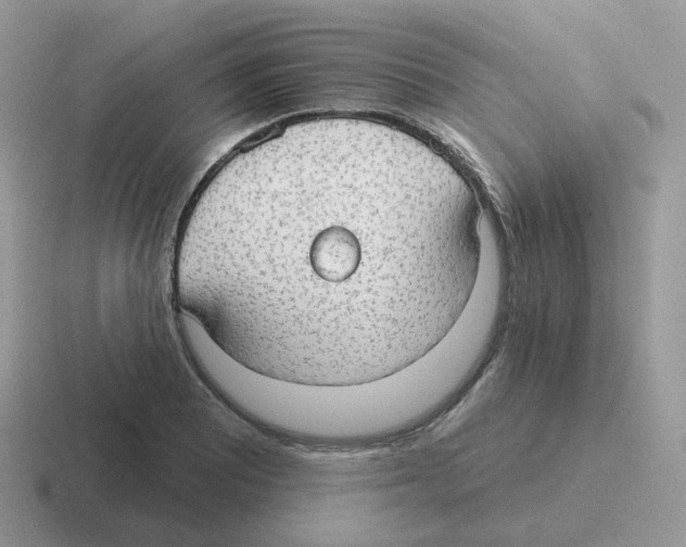 X0000116551081201001071111